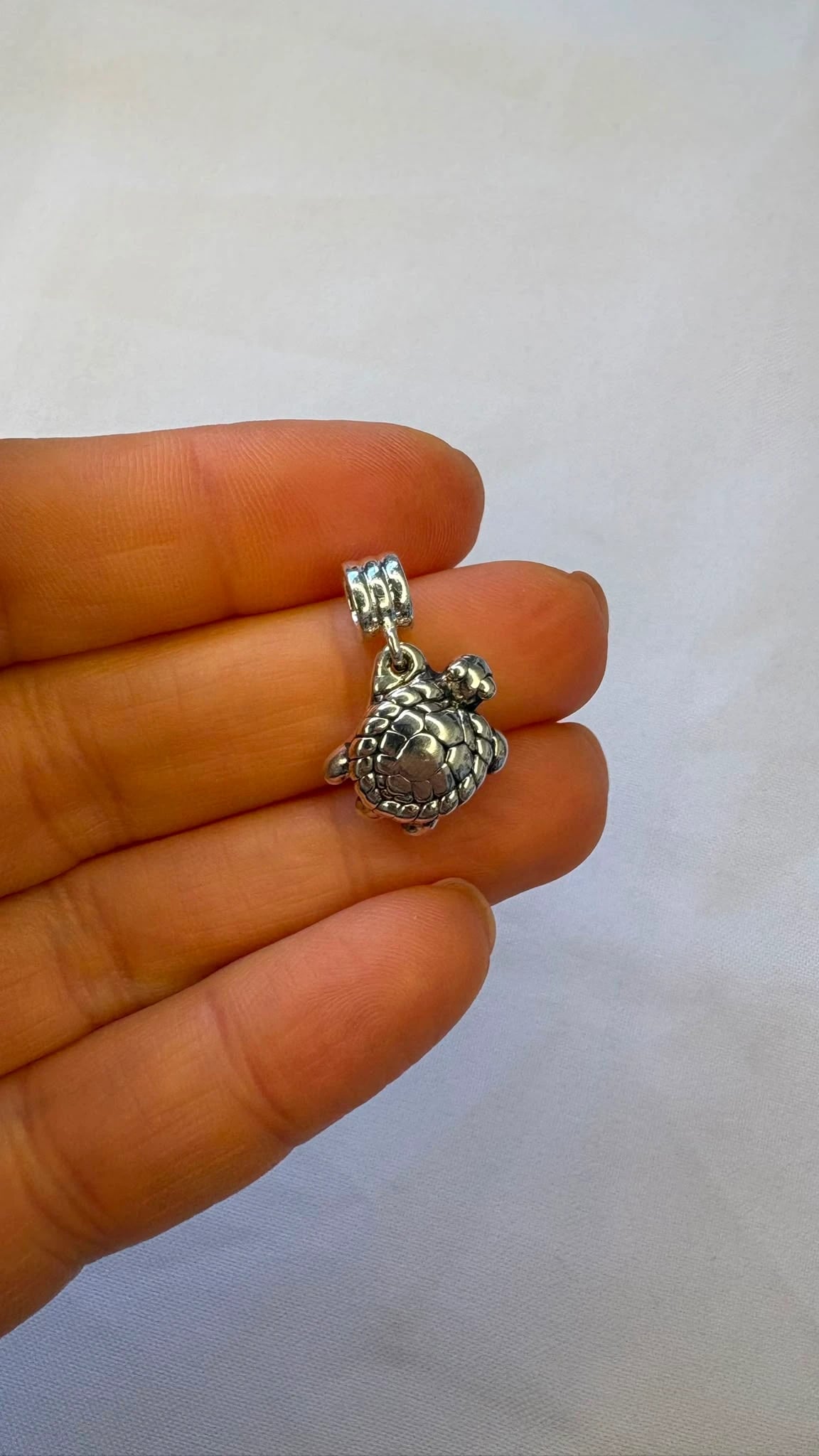 Charm Tortuga