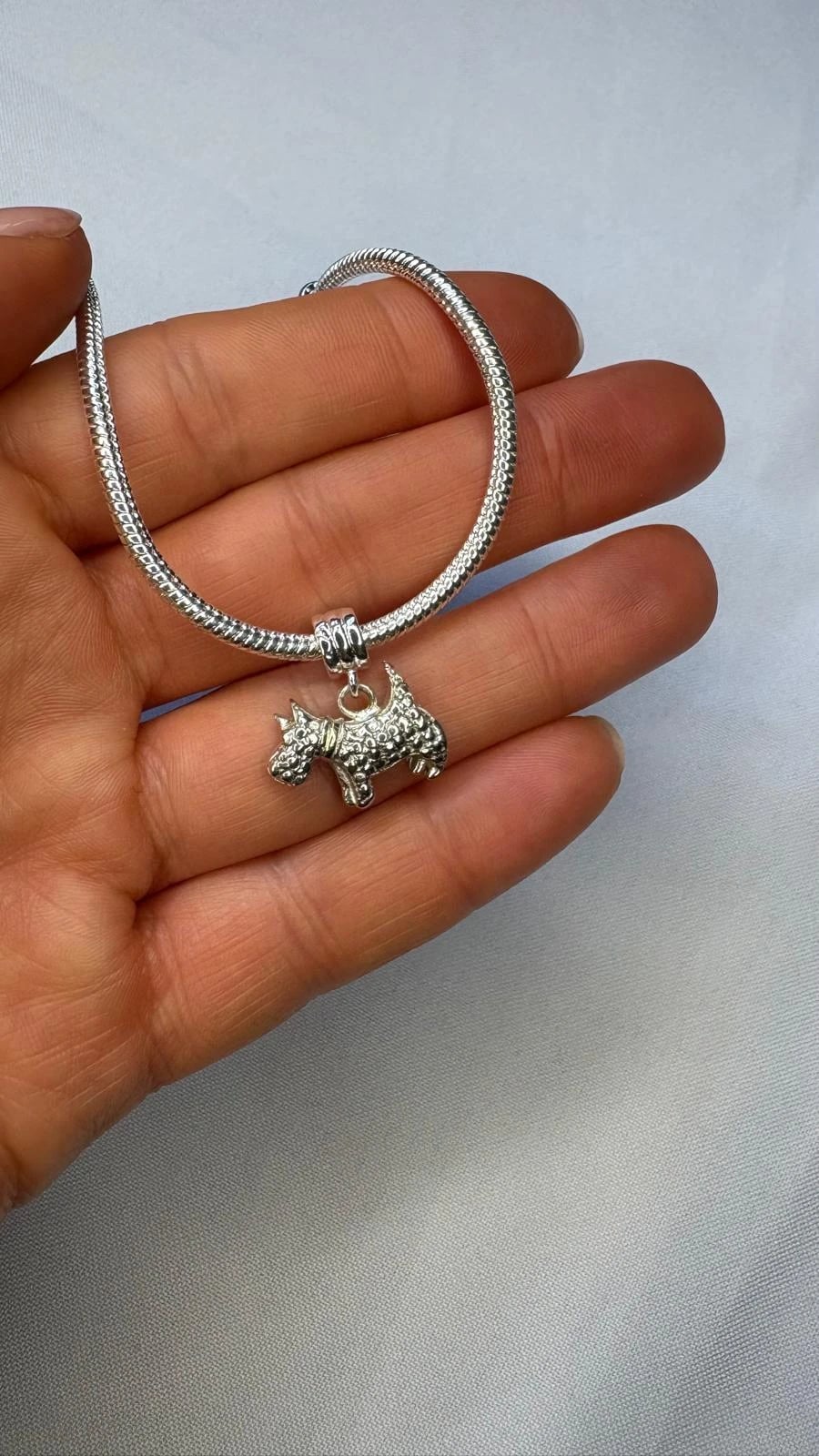 Charm Perro Schnauzer
